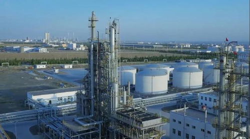 砥礪奮進五年間 奎屯—獨山子經(jīng)濟技術(shù)開發(fā)區(qū)榮獲兩項國家級殊榮，技術(shù)轉(zhuǎn)讓成果顯著