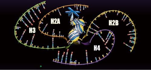 聚焦蛋白質(zhì)組學(xué)技術(shù)開(kāi)發(fā)與應(yīng)用，景杰生物完成5.3億元B輪融資以加速技術(shù)推廣