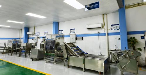 技術(shù)賦能，智造未來——廣東省農(nóng)裝院引領(lǐng)水產(chǎn)養(yǎng)殖與加工新趨勢